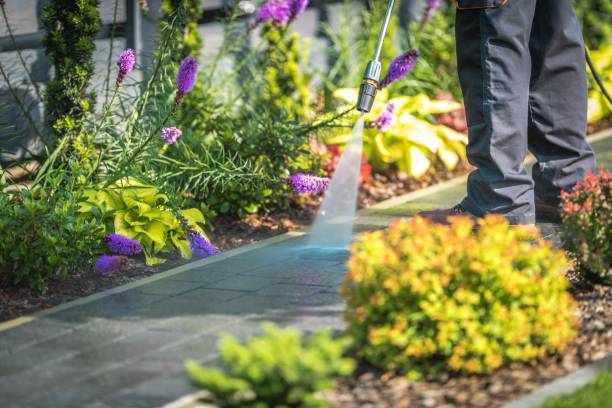  Laurel Hollow, NY Pressure Washing Pros
